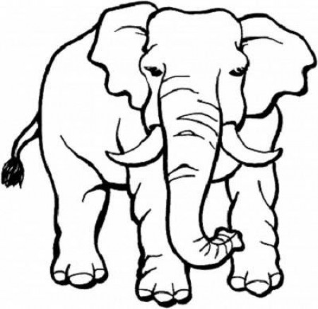 Coloring Pages Elephant - Kids Colouring Pages