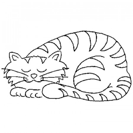 Sleeping Cat Sketch - Dog and Cat Pictures