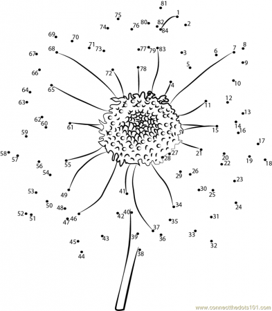 Connect the Dots Sun flower (Flowers > Sunflower) - dot to dots 