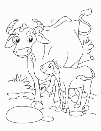 Buffalo with a calf coloring pages | Download Free Buffalo with a 