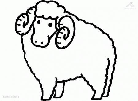 Sheep Coloring Pages 702 | Free Printable Coloring Pages
