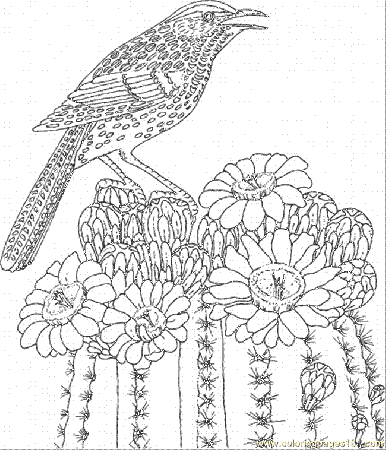 Coloring Pages Bird On Cactus (Natural World > Flowers) - free 