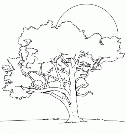 The Big Tree In The Night Coloring For Kids - Tree Coloring Pages 