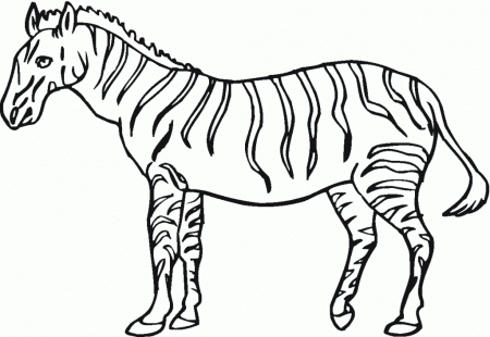 Animal Coloring Free Printable Zebra Coloring Pages For Free 