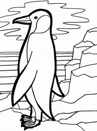 cute penguin Colouring Pages (page 2)