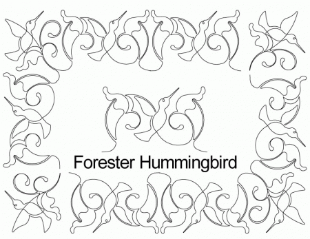 Hummingbird Border | animalgals