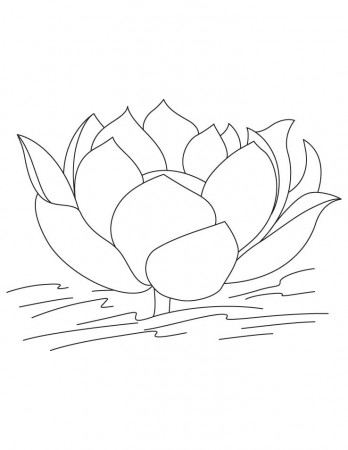 Lotus flower in water coloring pages | Download Free Lotus flower 