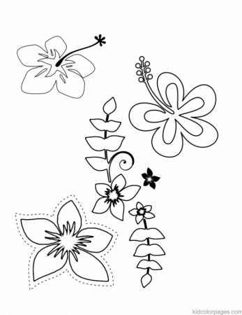 Hawaii Flower Colouring Pages 197481 Hawaiian Flower Coloring Pages