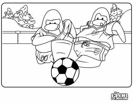 Animal Coloring Cute Penguin Birds Free Printable Coloring Page 