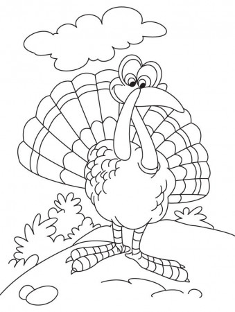 Thanksgiving turkey coloring page | Download Free Thanksgiving 