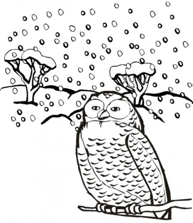 print snow owl winter animal coloring pages