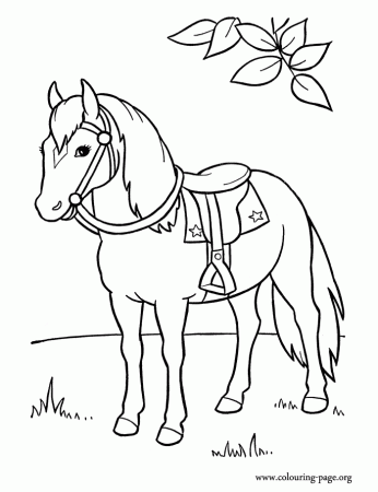 horses printable coloring pages | Coloring Picture HD For Kids 