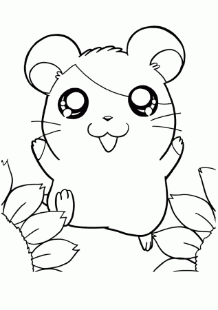 hamtaro sunflower coloring pages for kids