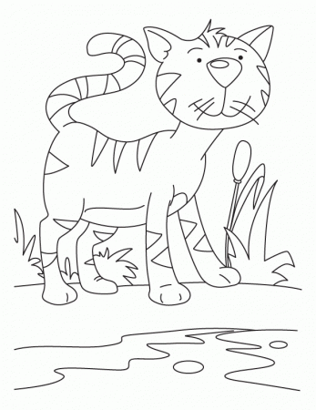 Cat searching for rat coloring page | Download Free Cat searching 