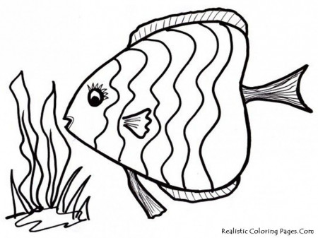Rainbow Fish Printables Fish Coloring Page Crayon Action 126379 