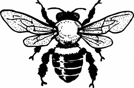 Bee Coloring Pages Free Printable Honey Bee Coloring Pages Bee 