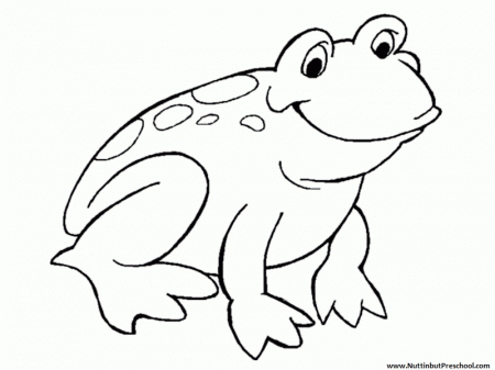 frog coloring pages : Printable Coloring Sheet ~ Anbu Coloring 