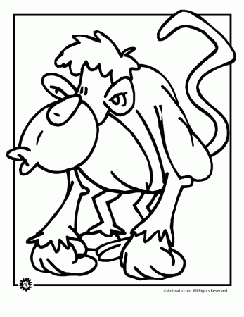 Monkey Pictures For Coloring