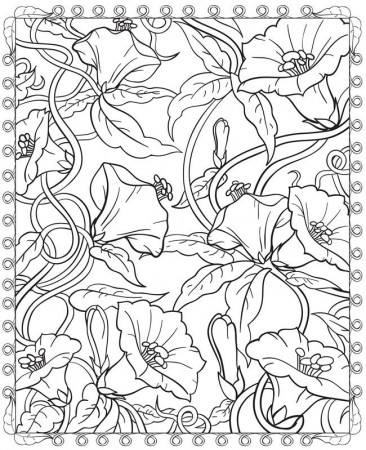 dover publications free coloring pages – 650×799 Download Free 