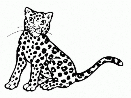 Baby Cheetah Coloring Pages | 99coloring.