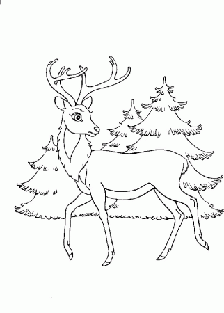 Coloring Page - Bambi coloring pages 16