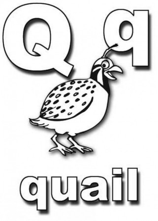 Download Quail Alphabet Coloring Pages Or Print Quail Alphabet 