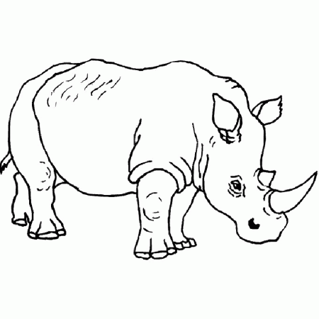 Rhino Coloring Pages 6 | Free Printable Coloring Pages 