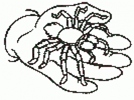 Spider Man Coloring Page 579 Free 90352 Spider Coloring Pages For Kids