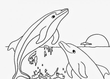 Colour Drawing Free Wallpaper: Dolphins Coloring Drawing Free 