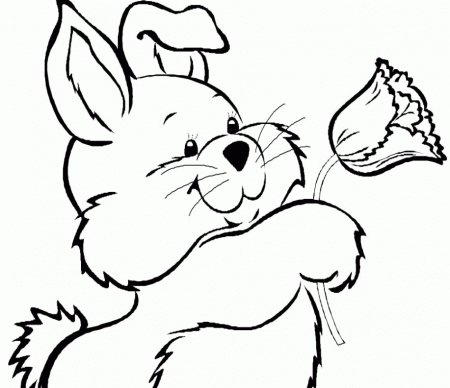 printable coloring pages for spring | Coloring Picture HD For Kids 