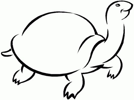 Turtles K5 Animals Coloring Pages & Coloring Book