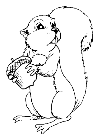 9 Squirrel Coloring Pages | Free Coloring Page Site