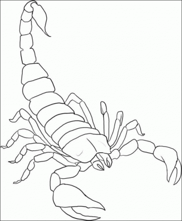 Scorpion Spiderman Colouring Pages (page 2)