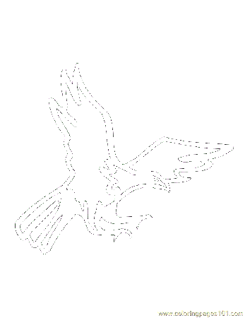 birds eagle Colouring Pages