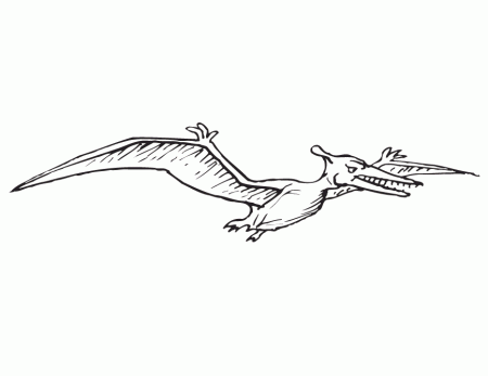 Pterodactyl Coloring Pages 346 | Free Printable Coloring Pages