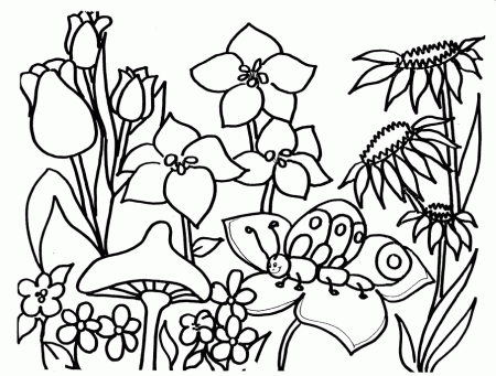 Free Printable Spring Coloring Sheets For Kids : Free Spring 