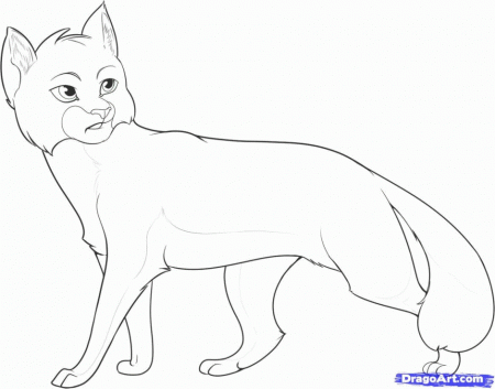 Warrior Cat Coloring Pages Coloring Online Coloring Games 208144 