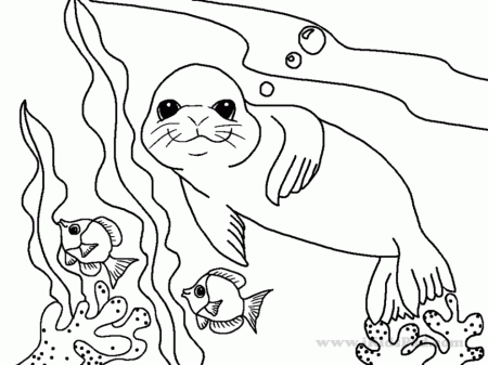 Sea Lion Coloring Page Printable | 99coloring.com