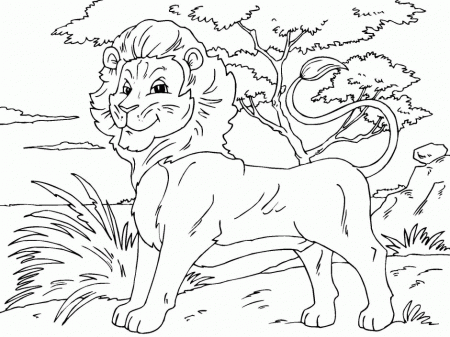 Baby Lion Coloring Pages Baby Lion Cub Coloring Page Baby Sea 