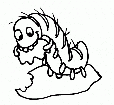 Animal Coloring Pages : Pictures Caterpillar Coloring Pages Kids 