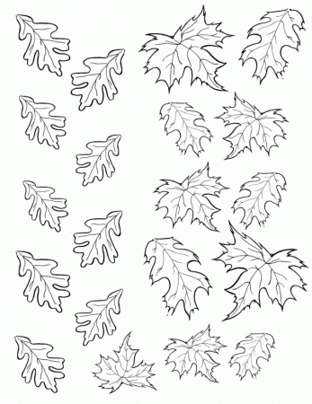 Fall Leaf Coloring Pages 8 Vectories 205550 Autumn Coloring Page
