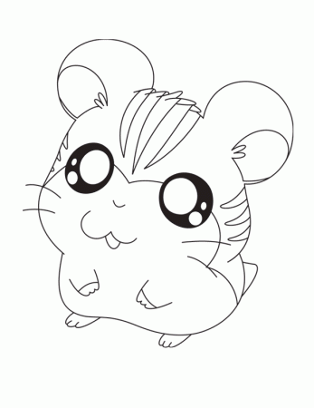 Chinchilla coloring page - Animals Town - animals color sheet 