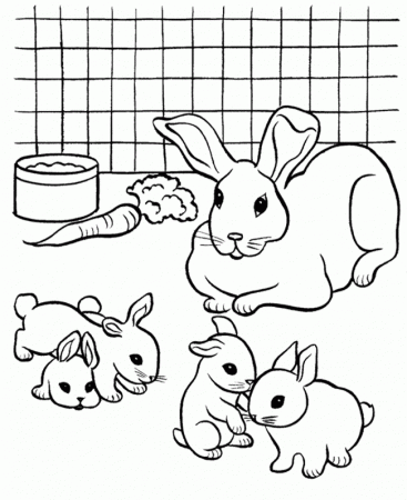 Rabbits Coloring Pages : Pet Rabbit Coloring Page Kids Coloring Art