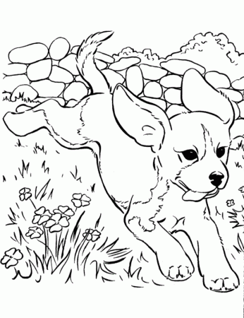 Puppy Coloring Pages for Kids- Free Coloring Sheets