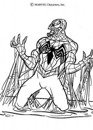 spectacular spiderman coloring pages image search results