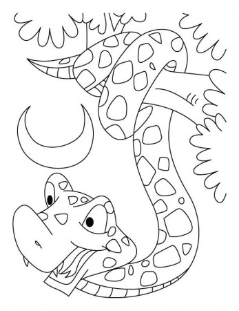 snake-coloring-pages-3.jpg