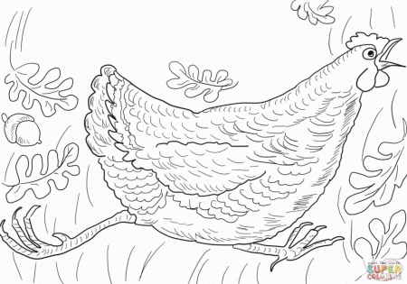 Birds And Fox From Henny Penny Coloring Online Super Coloring 