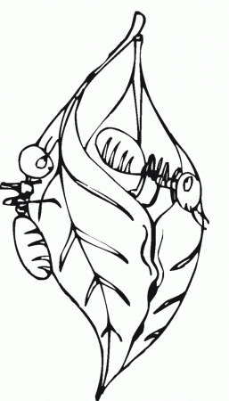 Ant Coloring Pages : Printables Ant Make A Nest Of Leaves Coloring 