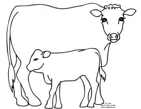 A Dairy Cow and Her Calf