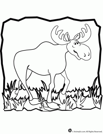 a moose Colouring Pages (page 3)